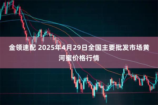 金领速配 2025年4月29日全国主要批发市场黄河蜜价格行情