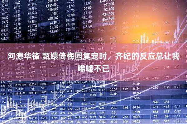 河源华锋 甄嬛倚梅园复宠时，齐妃的反应总让我唏嘘不已