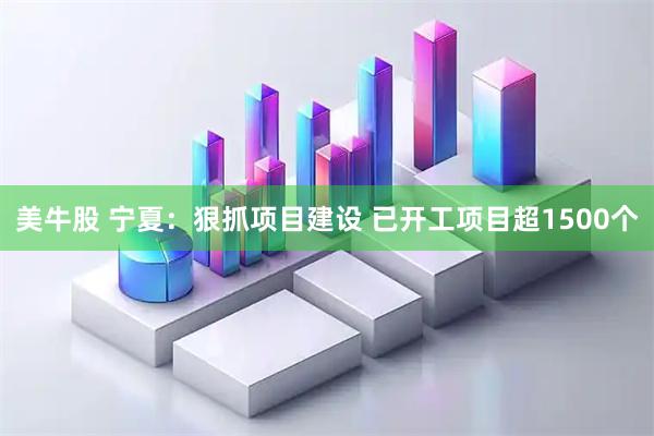 美牛股 宁夏：狠抓项目建设 已开工项目超1500个