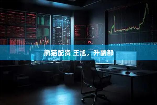 熊猫配资 王旭，升副部
