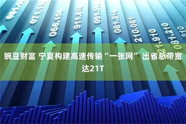 豌豆财富 宁夏构建高速传输“一张网” 出省总带宽达21T